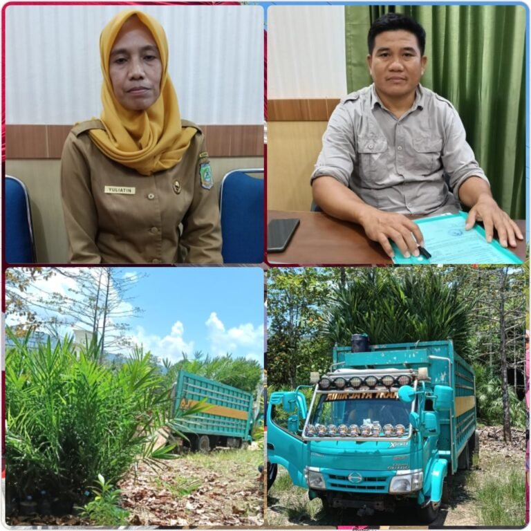 PhotoGrid_Site_1759223293170